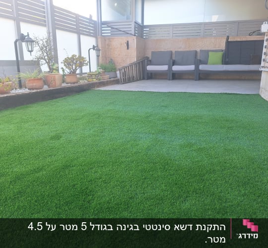 עציצים עם צמחים על דשא סינתטי